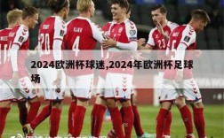 2024欧洲杯球迷,2024年欧洲杯足球场